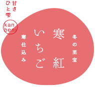 寒紅いちご